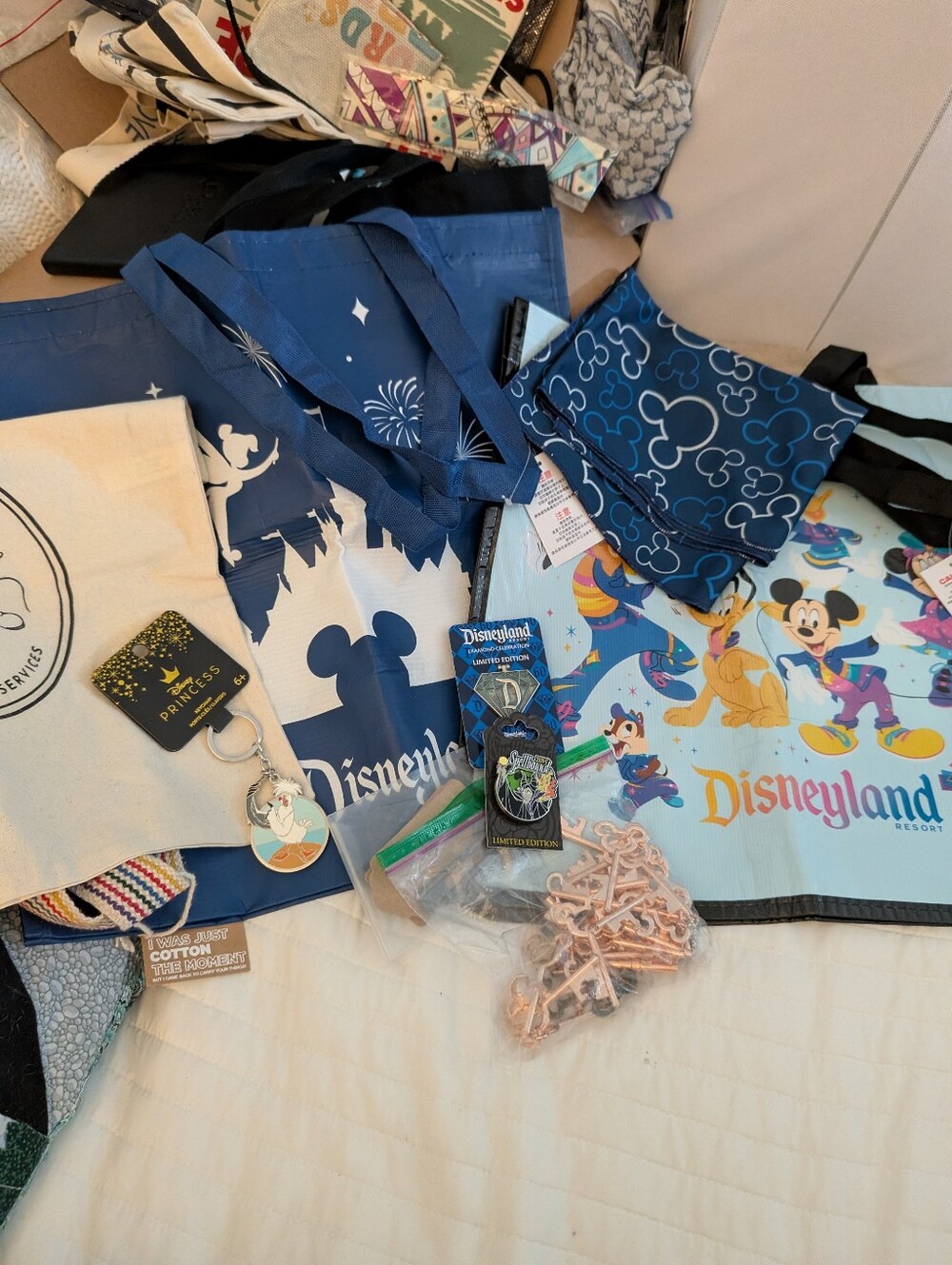 Disney Parks Bundle Bag Pin Keychain Keys Tote Resort Souvenirs